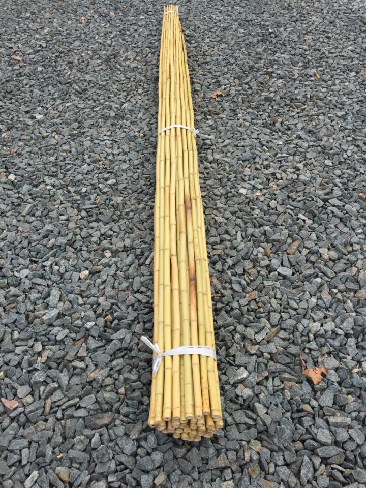 Bamboo Stakes - 3/4-1 Inch (18-26mm) X 8 Feet (2.44m) - Image 2
