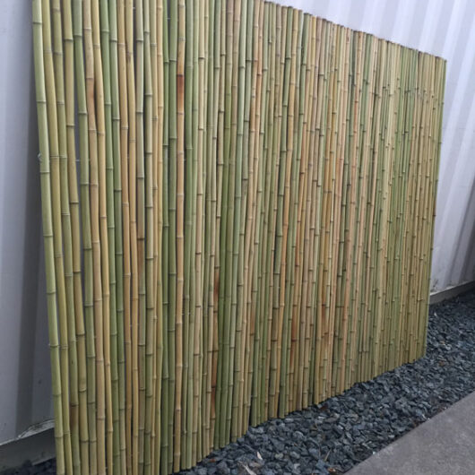 1" Solid Cane Bamboo Fencing