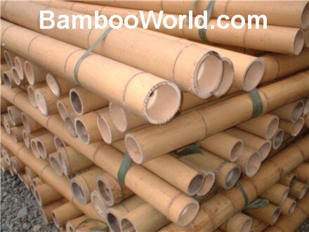 Bamboo Poles