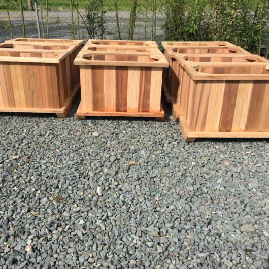 Cedar Planters