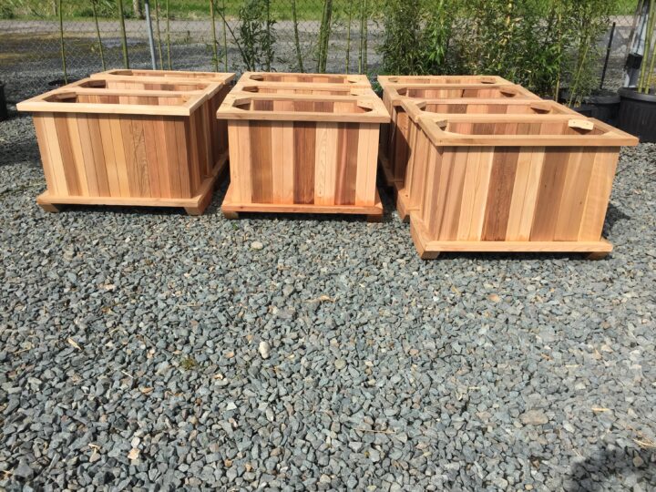 Cedar Planter Boxes $265 - Image 4