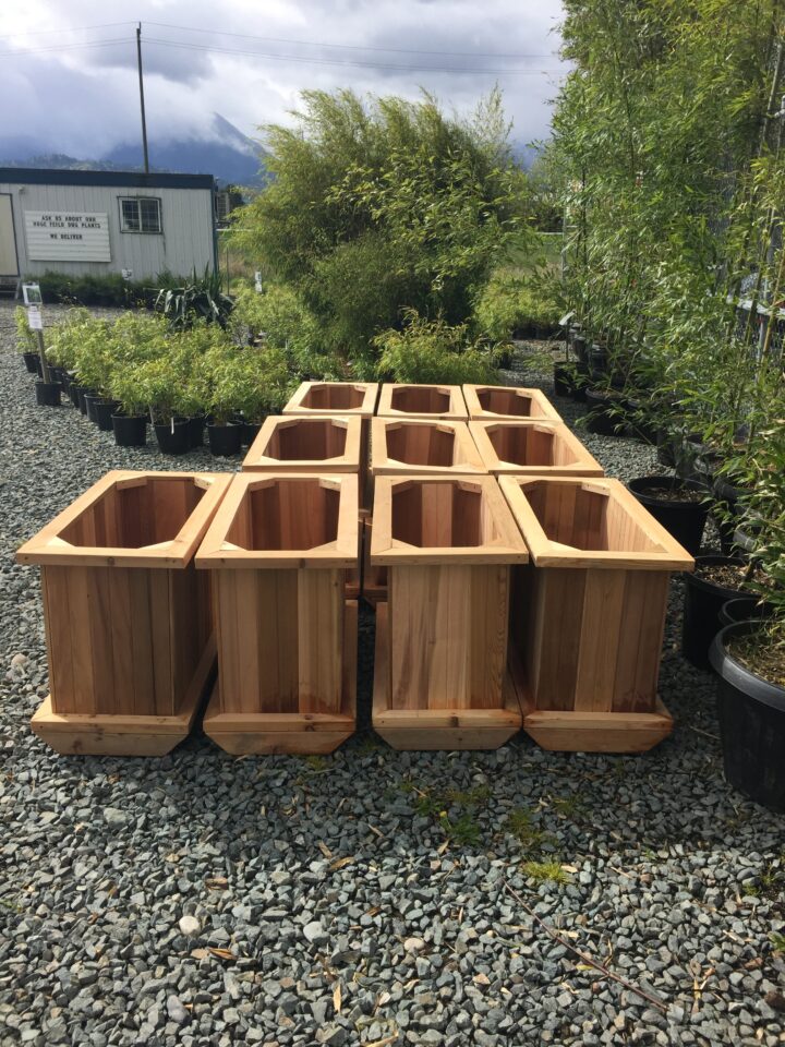 Cedar Planter Boxes $265 - Image 2